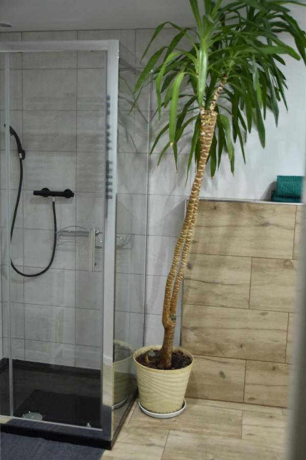 Apartament Centrum Поляниця-Здруй Екстер'єр фото